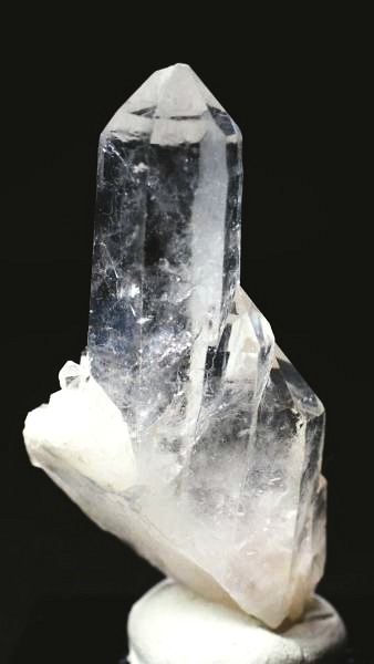 ���C�g�j���O�N�H�[�c ������ 21g (358)