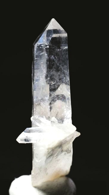 ���C�g�j���O�N�H�[�c ������ 21g (358)