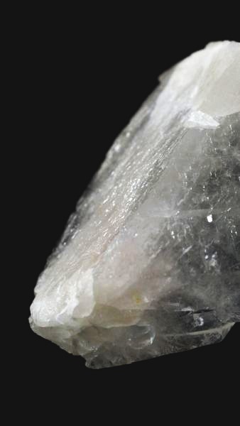 ���C�g�j���O�N�H�[�c ������ 21g (358)