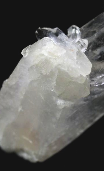 ���C�g�j���O�N�H�[�c ������ 21g (358)