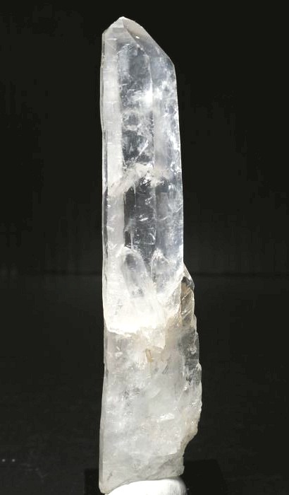 ���C�g�j���O�N�H�[�c ������ 72g (359)