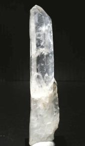 ���C�g�j���O�N�H�[�c<br> ������ 72g (359)