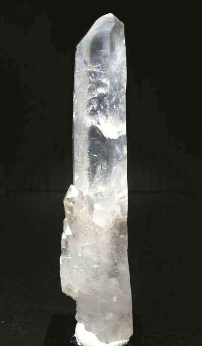 ���C�g�j���O�N�H�[�c ������ 72g (359)