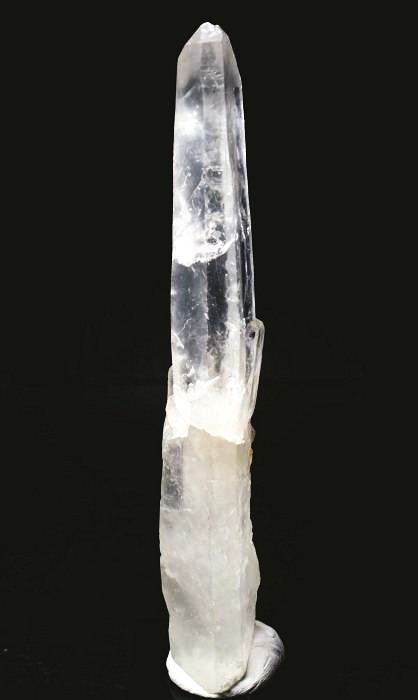 ���C�g�j���O�N�H�[�c ������ 72g (359)