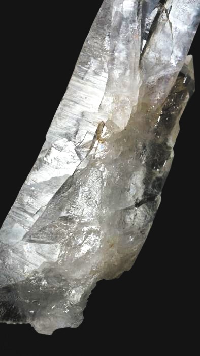 ���C�g�j���O�N�H�[�c ������ 72g (359)