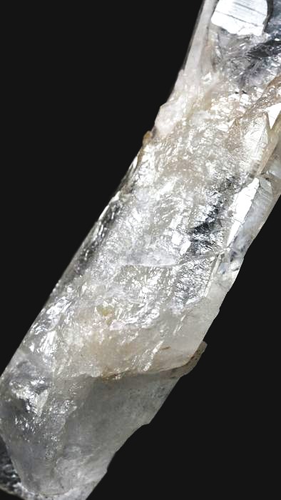 ���C�g�j���O�N�H�[�c ������ 72g (359)