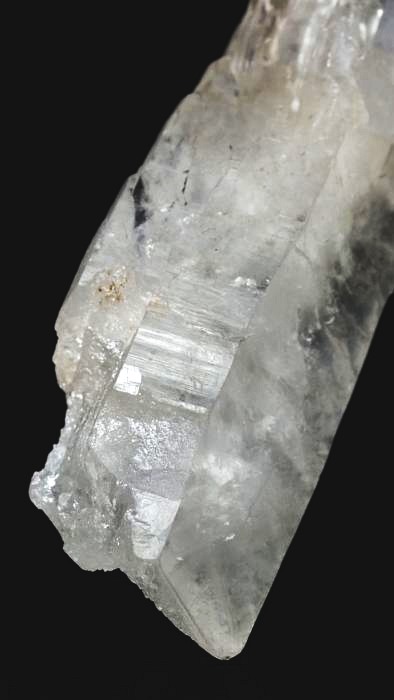 ���C�g�j���O�N�H�[�c ������ 72g (359)