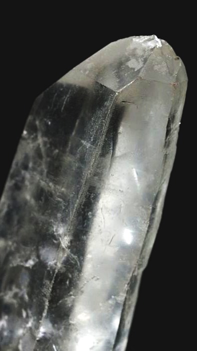 ���C�g�j���O�N�H�[�c ������ 72g (359)