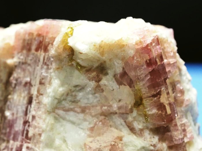 �s���N�g���}�������� �u���W���Y 344g (1)