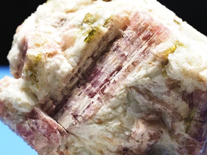 �s���N�g���}�������� �u���W���Y 344g (1)