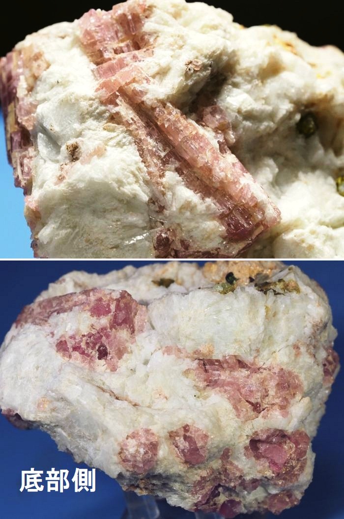 �s���N�g���}�������� �u���W���Y 344g (1)