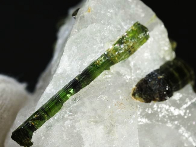 �O���[���g���}�������� �u���W���Y 30g (77)