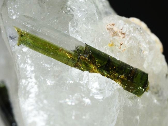 �O���[���g���}�������� �u���W���Y 31g (78)