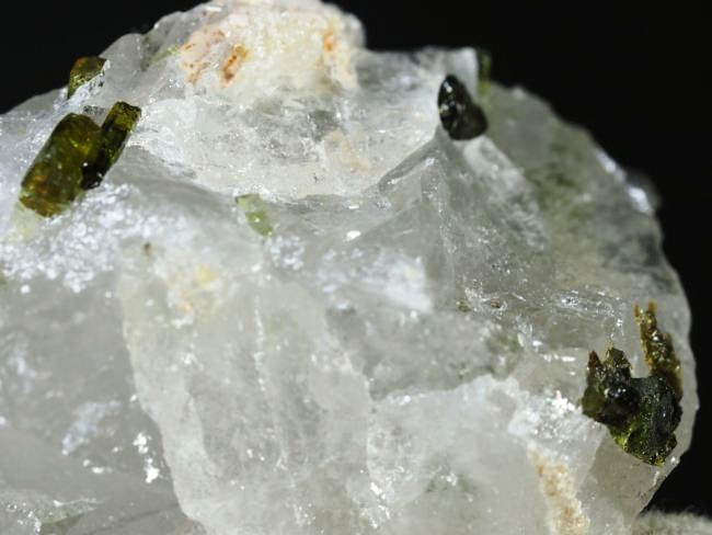 �O���[���g���}�������� �u���W���Y 31g (78)