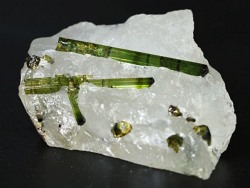 �O���[���g���}��������<br> �u���W���Y 31g (79)