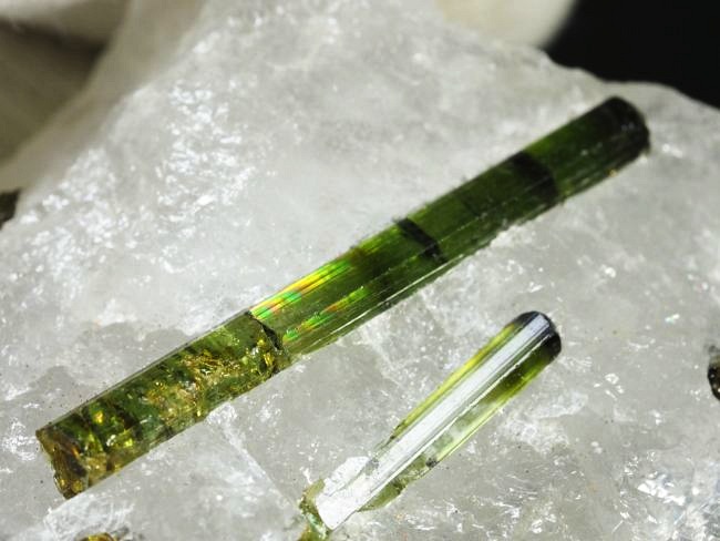 �O���[���g���}�������� �u���W���Y 31g (79)