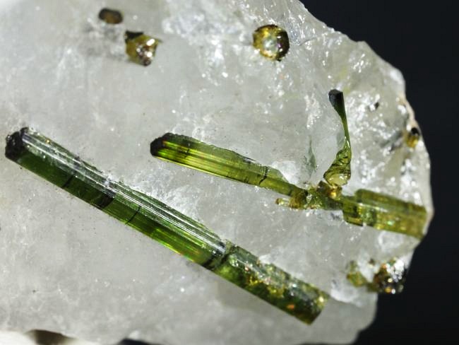 �O���[���g���}�������� �u���W���Y 31g (79)