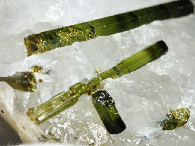 �O���[���g���}�������� �u���W���Y 31g (79)