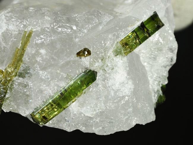 �O���[���g���}�������� �u���W���Y 43g (80)