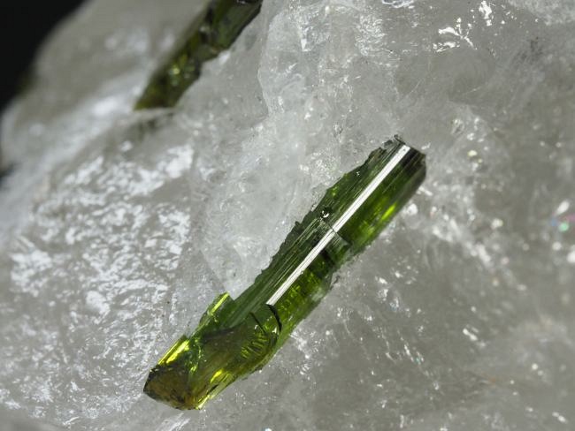 �O���[���g���}�������� �u���W���Y 43g (80)