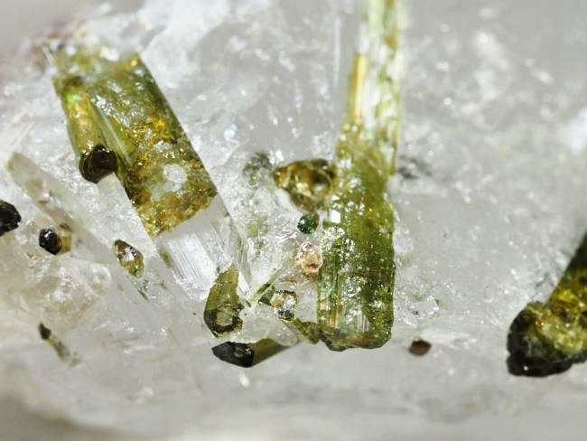 �O���[���g���}�������� �u���W���Y 43g (80)