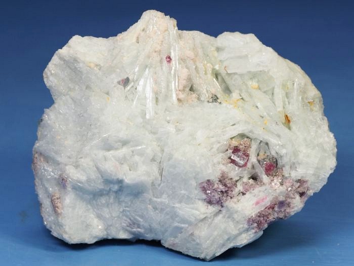 �u���[�O���[���g���}�������� �u���W���Y 228g (7)