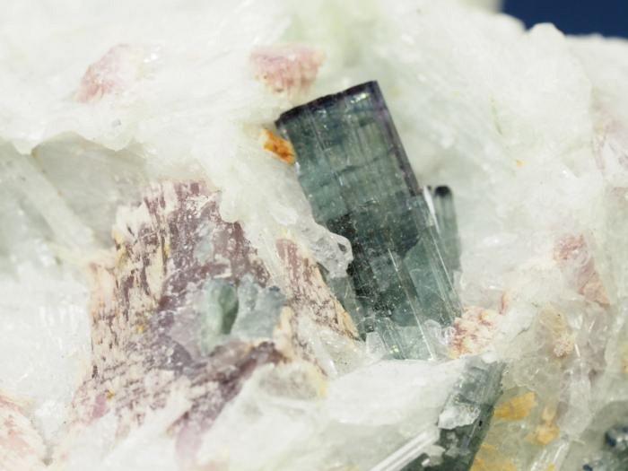 �u���[�O���[���g���}�������� �u���W���Y 228g (7)