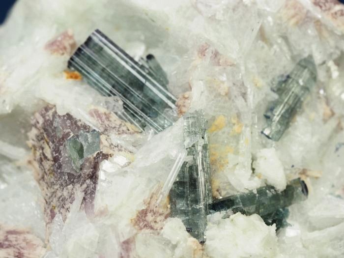 �u���[�O���[���g���}�������� �u���W���Y 228g (7)