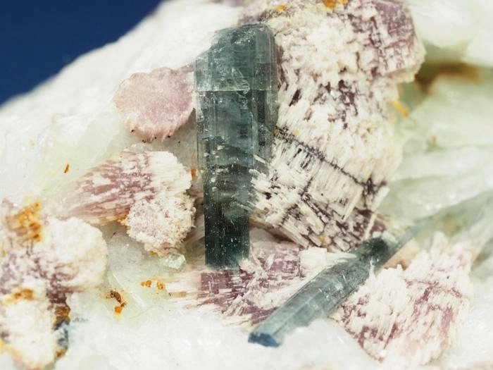 �u���[�O���[���g���}�������� �u���W���Y 228g (7)