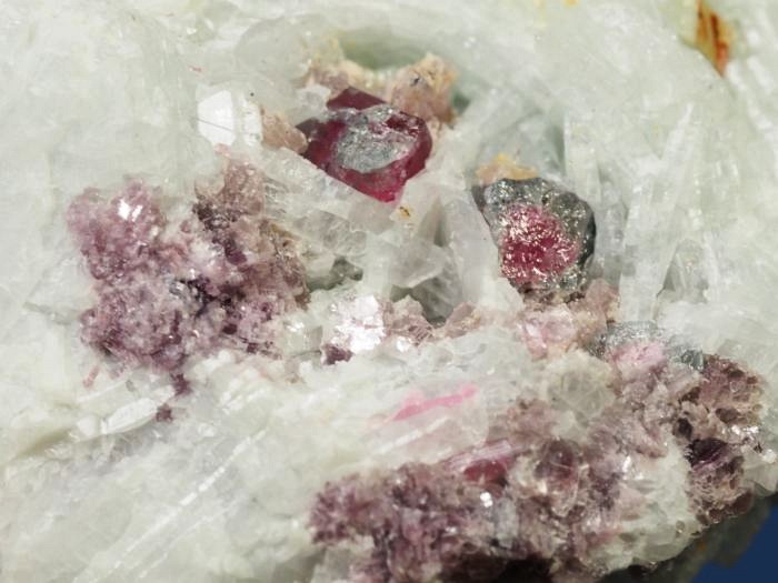 �u���[�O���[���g���}�������� �u���W���Y 228g (7)