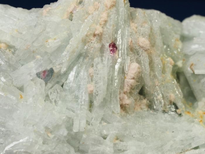 �u���[�O���[���g���}�������� �u���W���Y 228g (7)