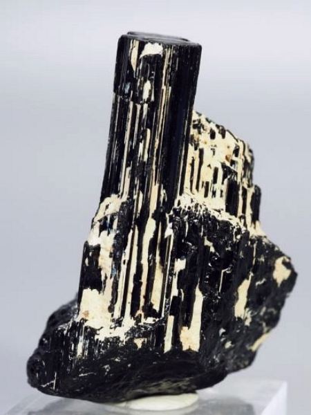 �u���b�N�g���}�������� �u���W���Y 149g (19)