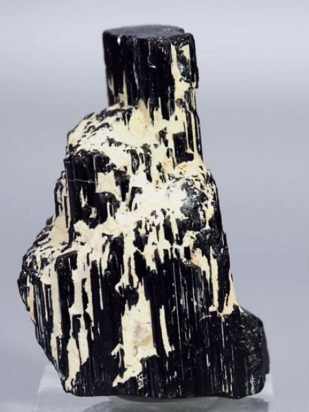 �u���b�N�g���}�������� �u���W���Y 149g (19)