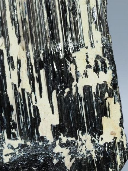 �u���b�N�g���}�������� �u���W���Y 149g (19)