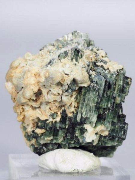 �o�C�J���[�g���}�������� �u���W���Y 93g (22)