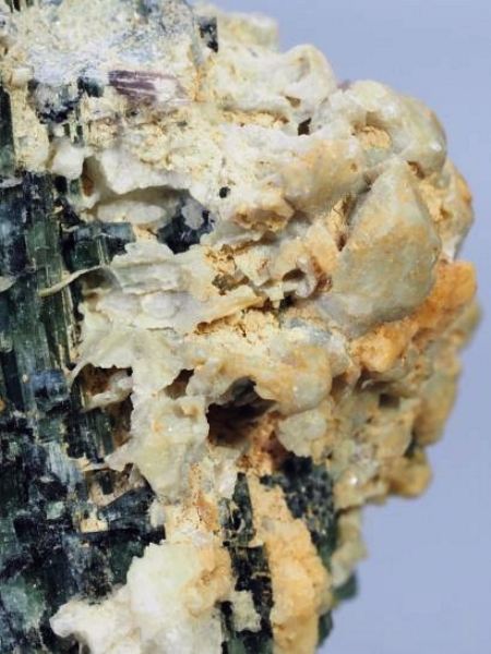 �o�C�J���[�g���}�������� �u���W���Y 93g (22)