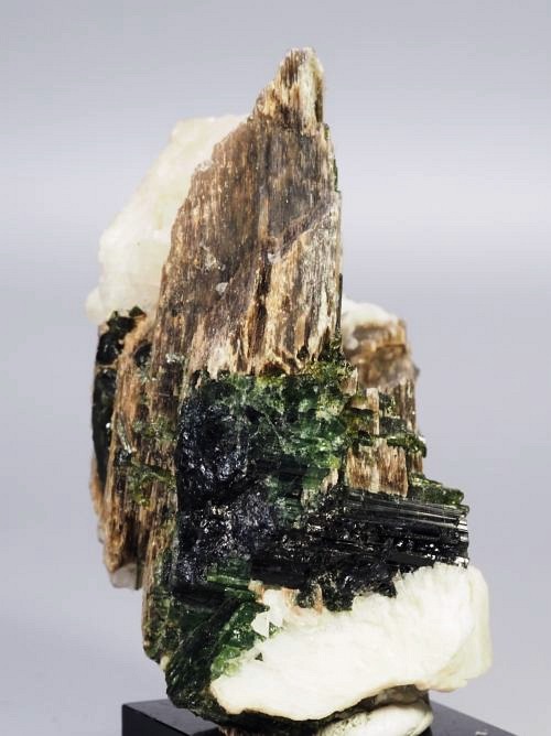 �O���[���g���}�������� �u���W���Y 294g (23)