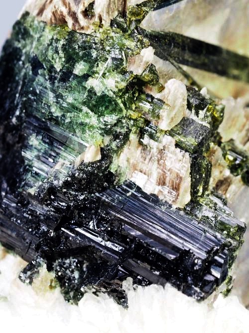 �O���[���g���}�������� �u���W���Y 294g (23)