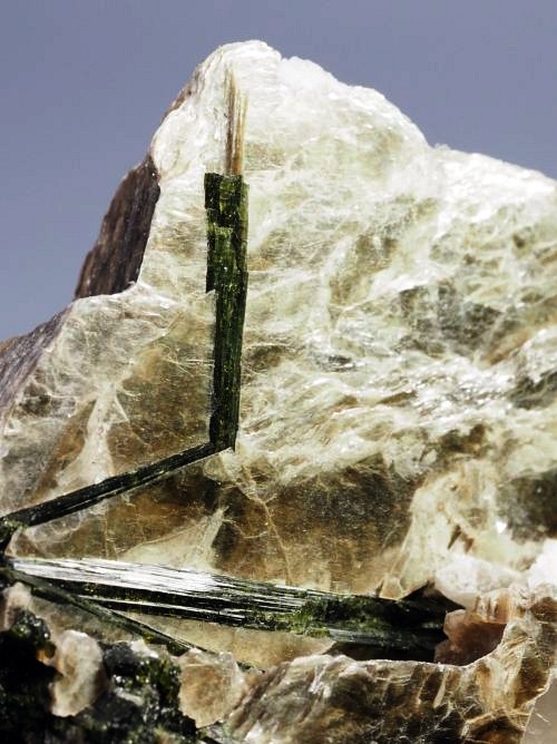 �O���[���g���}�������� �u���W���Y 294g (23)