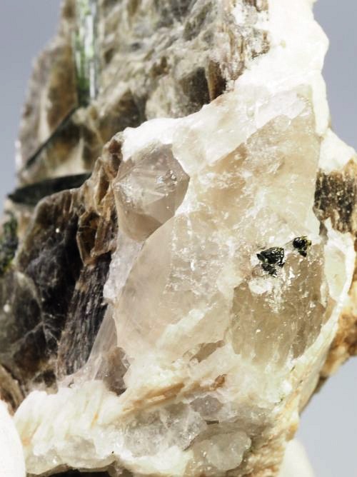 �O���[���g���}�������� �u���W���Y 294g (23)