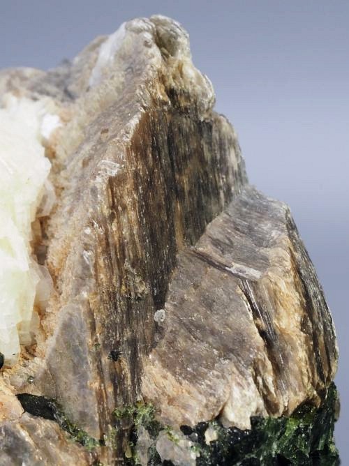 �O���[���g���}�������� �u���W���Y 294g (23)