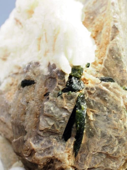 �O���[���g���}�������� �u���W���Y 294g (23)