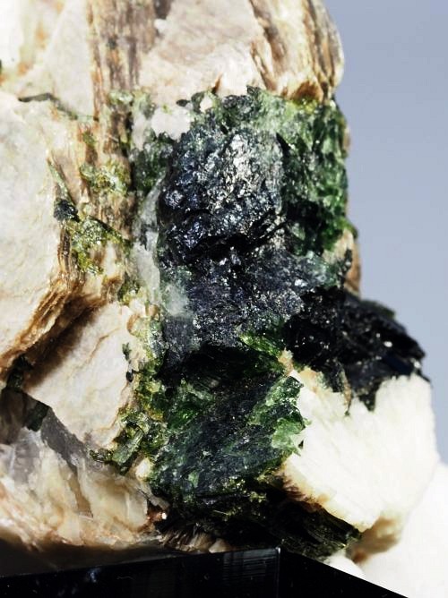 �O���[���g���}�������� �u���W���Y 294g (23)