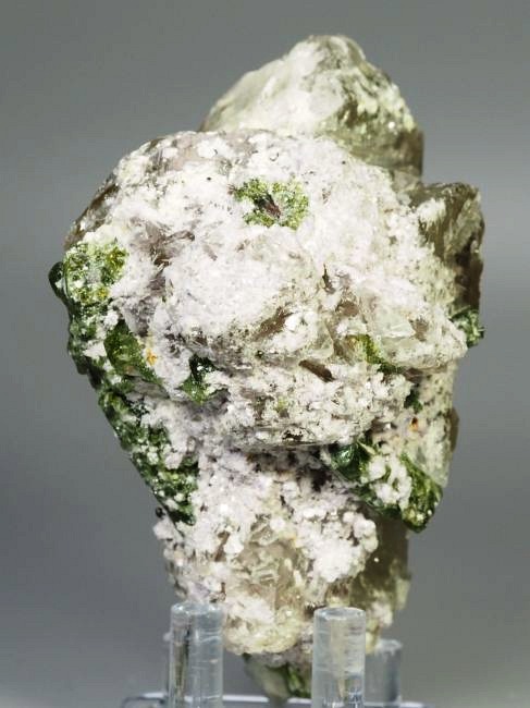 �E�I�[�^�������g���}�����ƃV�g���� �u���W���Y 342g (26)