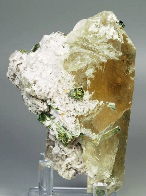 �E�I�[�^�������g���}�����ƃV�g���� �u���W���Y 342g (26)