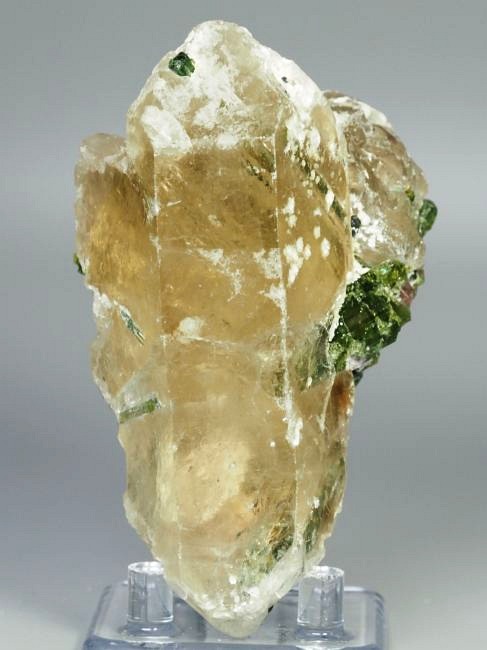 �E�I�[�^�������g���}�����ƃV�g���� �u���W���Y 342g (26)