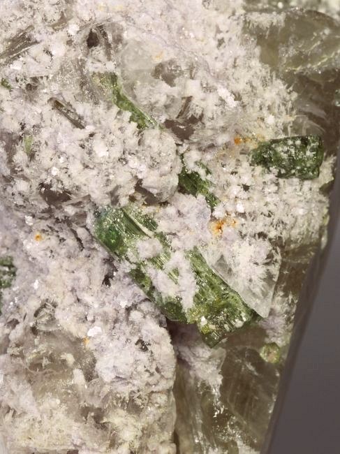 �E�I�[�^�������g���}�����ƃV�g���� �u���W���Y 342g (26)