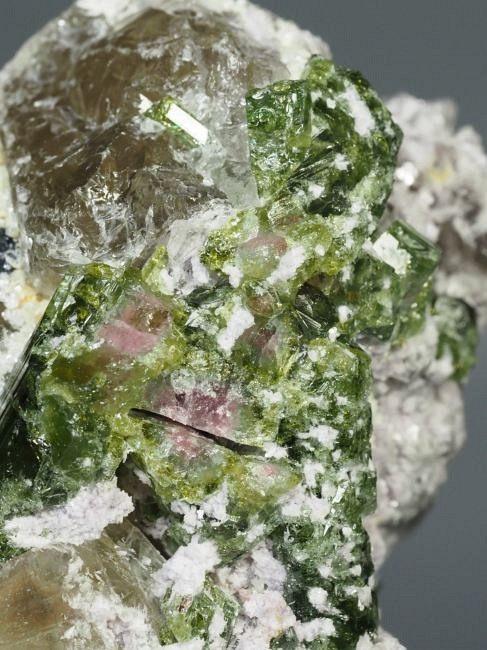 �E�I�[�^�������g���}�����ƃV�g���� �u���W���Y 342g (26)