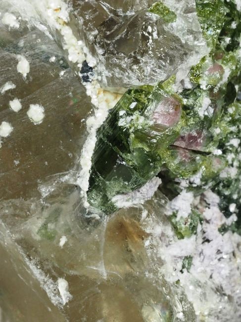 �E�I�[�^�������g���}�����ƃV�g���� �u���W���Y 342g (26)