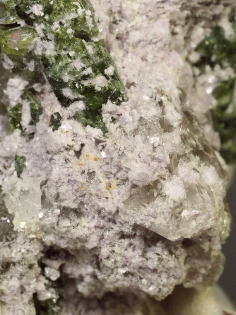 �E�I�[�^�������g���}�����ƃV�g���� �u���W���Y 342g (26)